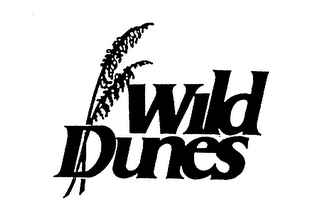 WILD DUNES