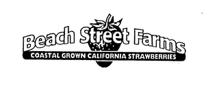 BEACH STREET FARMS COASTAL GROWN CALIFORNIA STRAWBERRIES