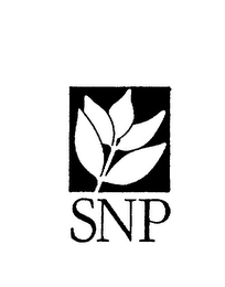 SNP
