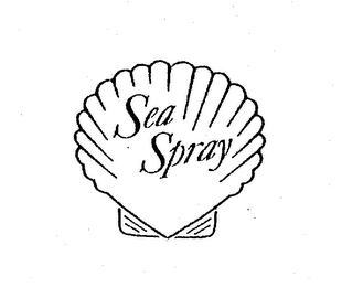 SEA SPRAY