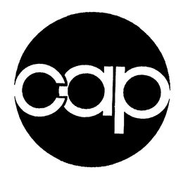 CAP TOYS, INC.