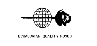 ECUADORIAN QUALITY ROSES