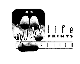 WILD LIFE PRINTS COLLECTION