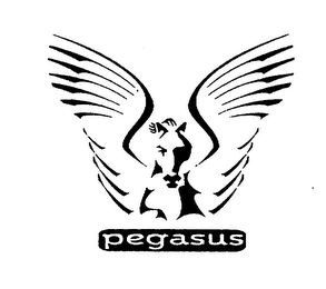 PEGASUS