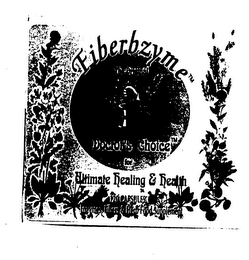 FIBERBZYME THE ORIGINAL DOCTOR'S CHOICE FOR ULTIMATE HEALING & HEALTH 120 CAPSULES ENZYMES FIBERS & HERB FOOD SUPPLEMENT