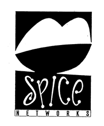 SPICE NETWORKS