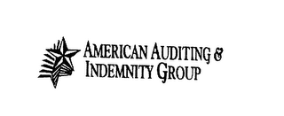 AMERICAN AUDITING & INDEMNITY GROUP