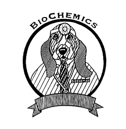 BIOCHEMICS, INC.