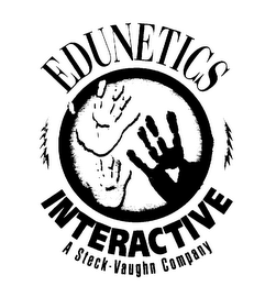 EDUNETICS INTERACTIVE A STECK-VAUGHN COMPANY