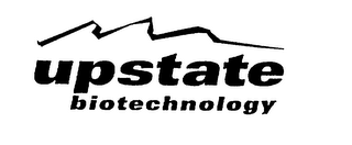 UPSTATE BIOTECHNOLOGY