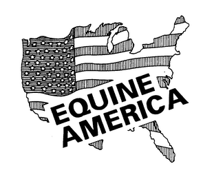 EQUINE AMERICA