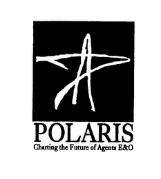 POLARIS CHARTING THE FUTURE OF AGENTS E&O