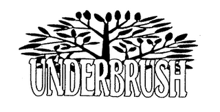 UNDERBRUSH