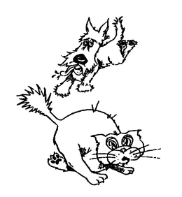 DIAMOND RUG & CARPET MILLS, INC.