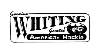 GENUINE WHITING GENETIC AMERICAN HACKLE