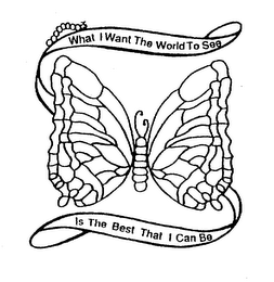 WHAT I WANT THE WORLD TO SEE IS THE BEST THAT I CAN BE