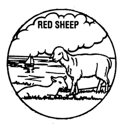 RED SHEEP