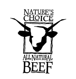 NATURE'S CHOICE ALL NATURAL BEEF