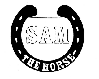 SAM THE HORSE