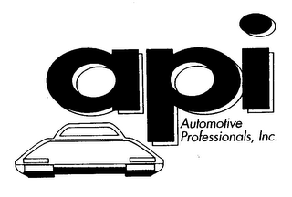 API AUTOMOTIVE PROFESSIONALS, INC.