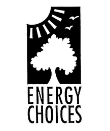 ENERGY CHOICES