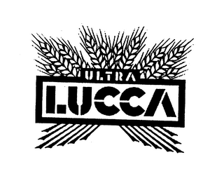 ULTRA LUCCA