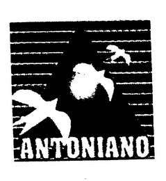 ANTONIANO