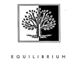 EQUILIBRIUM