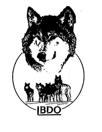 BDO