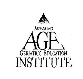 ADVANCING AGE GERIATRIC EDUCATION INSTITUTE