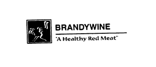 BRANDYWINE "A HEALTHY RED MEAT"