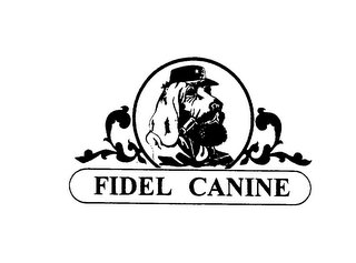 FIDEL CANINE