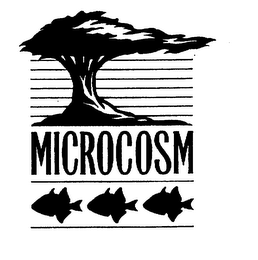 MICROCOSM