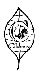 CIBONEY