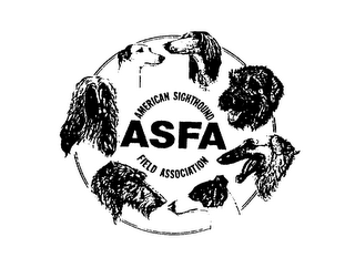 ASFA AMERICAN SIGHTHOUND FIELD ASSOCIATION