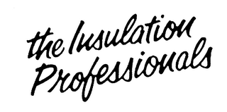 THE INSULATION PROFESSIONALS
