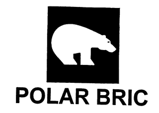 POLAR BRIC