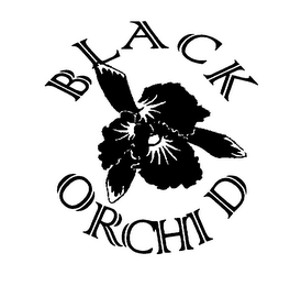 BLACK ORCHID