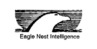 EAGLE NEST INTELLIGENCE