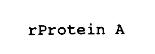 RPROTEIN A