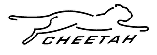 CHEETAH