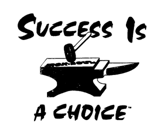 SUCCESS IS A CHOICE IRON-SOUL