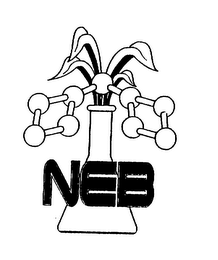 NEB