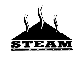 STEAM PRODUCTS