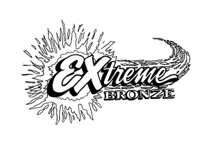 EXTREME BRONZE