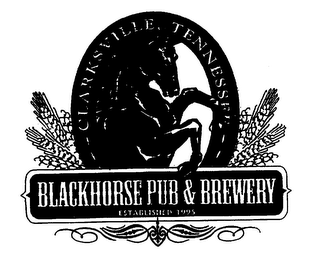 BLACKHORSE PUB & BREWERY CLARKSVILLE, TN