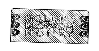 GOLDEN BLOSSOM HONEY