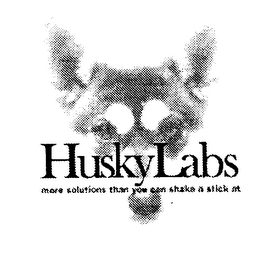 HUSKYLABS