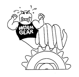 WORM GEAR