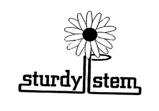 STURDY STEM